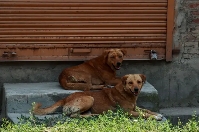 இன்றைய முக்கிய செய்திகள்