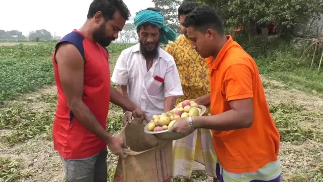 সংরক্ষণের অভাবে লোকসানে আলু বেচে দিচ্ছেন চাষীরা