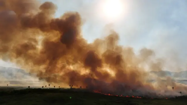 Incêndio no Pantanal, na regiãoesporte da sorte spaceman como jogarCorumbá,esporte da sorte spaceman como jogarMato Grosso do Sul