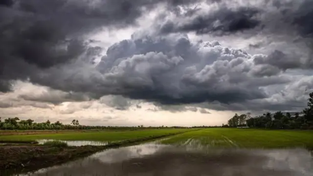 બીબીસી ગુજરાતી હવામાન વેધર ઠંડી ગુજરાત તાપમાન