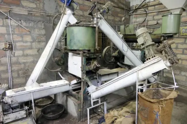 ગિરનાર, ગુજરાત, વનવિભાગ, બીબીસી ગુજરાતી, ગુજરાત વિધાનસભા