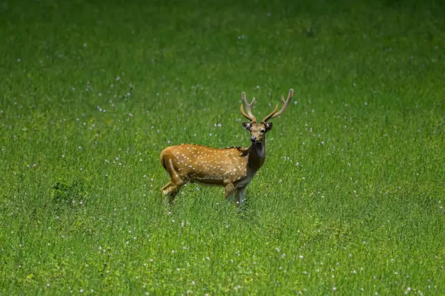 ''ජනාධ්පතිතුමා කිව්වා 1985ත් වගා කරලා දැනුත් වගා කරනවා නම් ඒ ඉඩම් දෙන්න කියලා.''