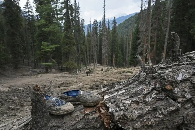 Туристерге кол салуу болгон аймак, бир күндөн кийинки көрүнүш
