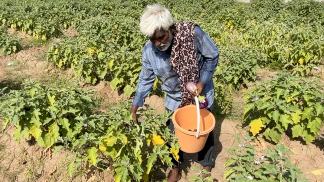 भूपतसिंह वाघेला