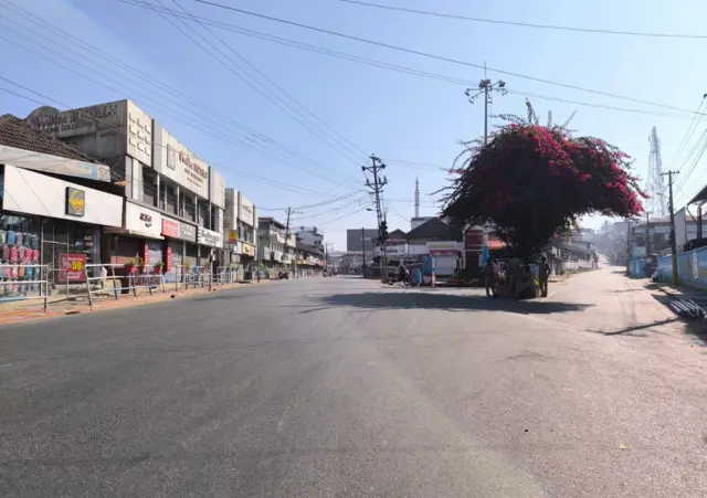 வயநாடு, யானை 