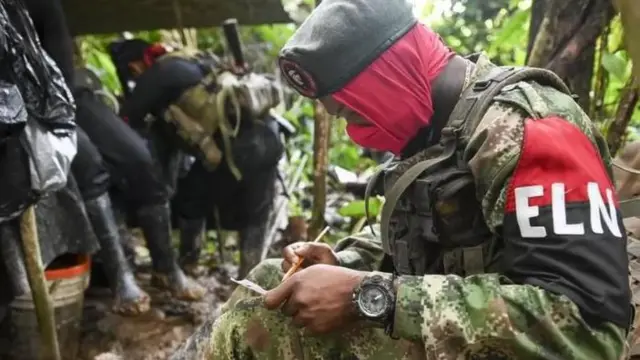 E﻿LN