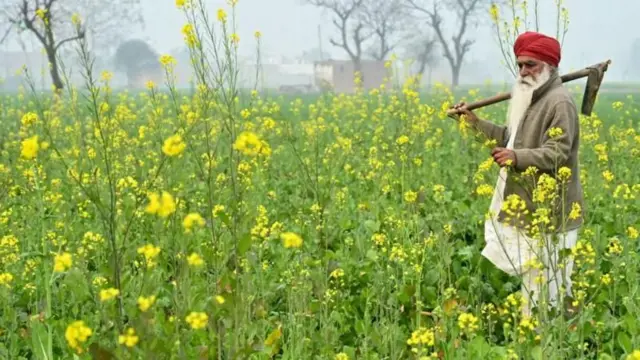 ਕਿਸਾਨੀ ਪਰਿਵਾਰ