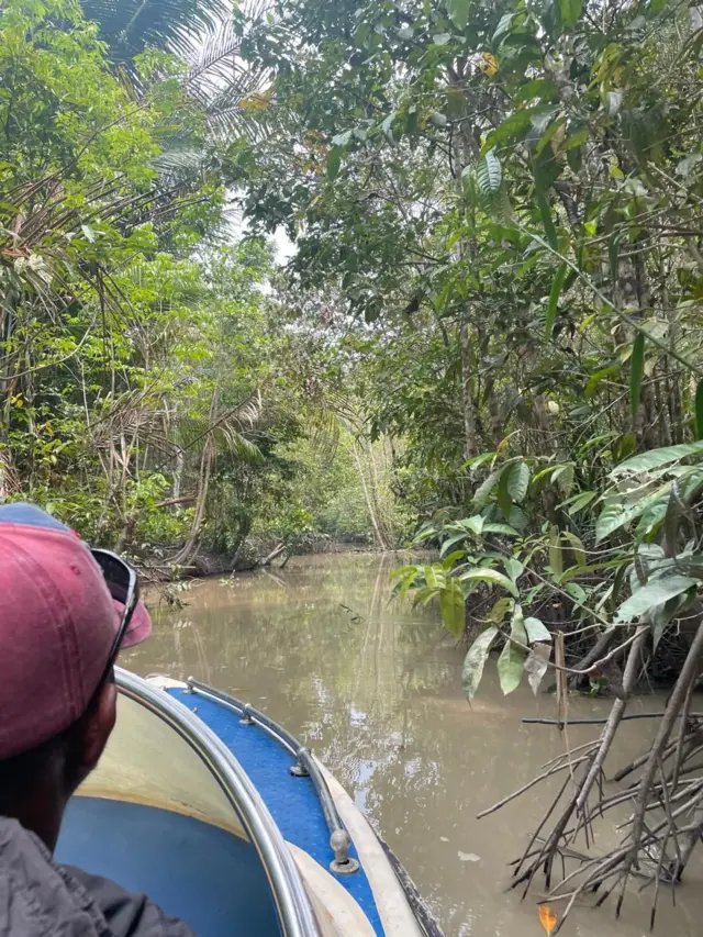 Asmat, Papua Selatan, sungai, armada, Distrik Pulau Tiga
