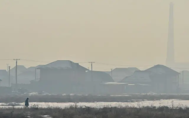 Жаңы конуштардын бири