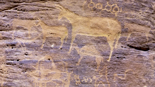 Harree durii suuraa dur kaafamerraa