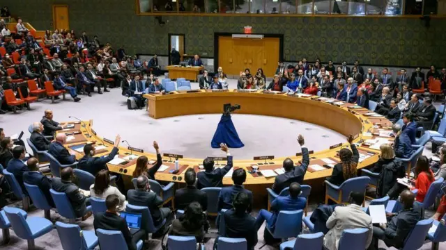 صورة من مجلس الأمن 