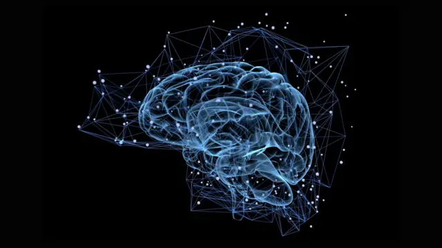 బ్రెయిన్