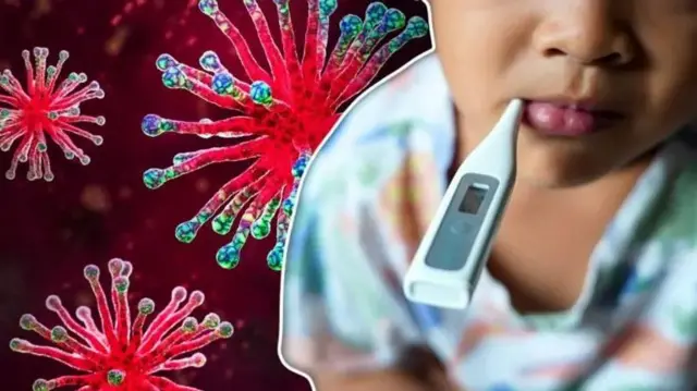 சந்திபுரா வைரஸ்