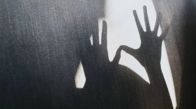 အမျိုးသမီးအရိပ် ဂရပ်ဖစ်ပုံ