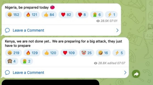 لقطة مصورة من محادثة على تطبيق تيلغرام، تحذر فيها المجموعة نيجيريا وكينيا من الهجمات