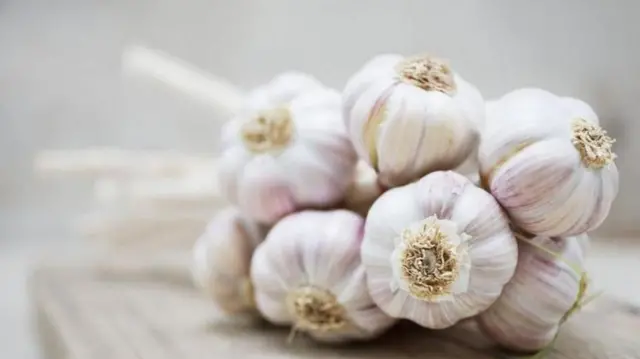 భారతదేశంలో రెండు రకాల వెల్లుల్లి పండుతుంది. 