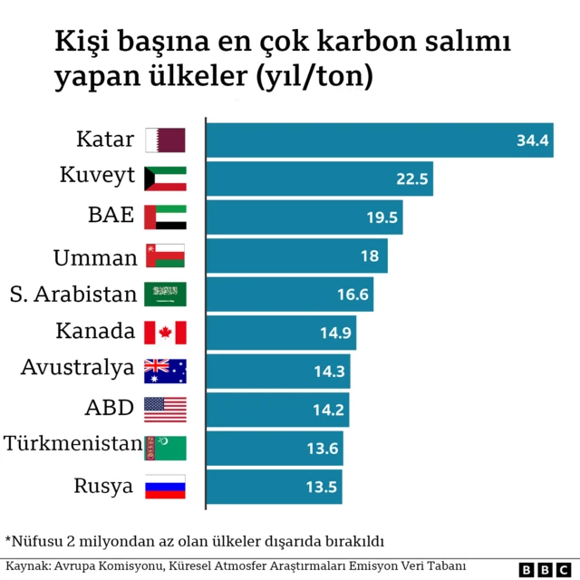 karbon salimi grafik 