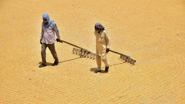 ਸੰਕੇਤਕ ਤਸਵੀਰ