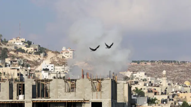 نمایی از جنین