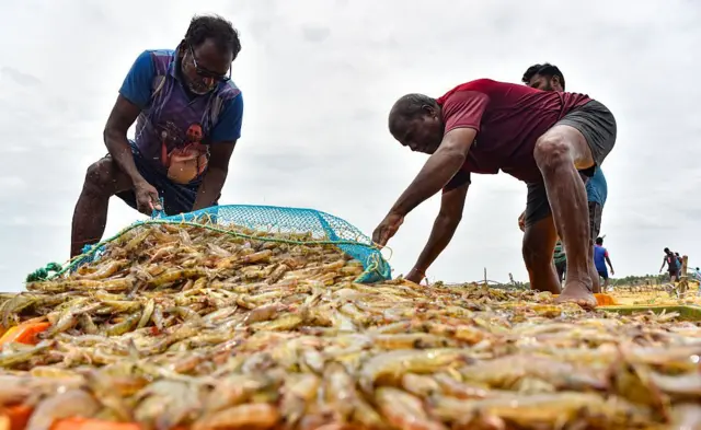 இந்தியா - அமெரிக்கா, 50% வரி