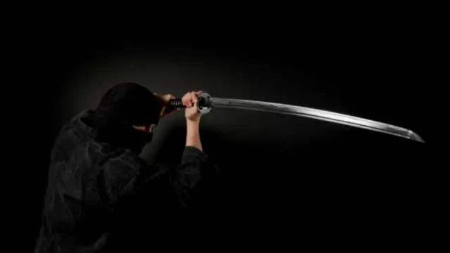 हे मारेकरी सर्व कलांमध्ये अत्यंत पारंगत असायचे 