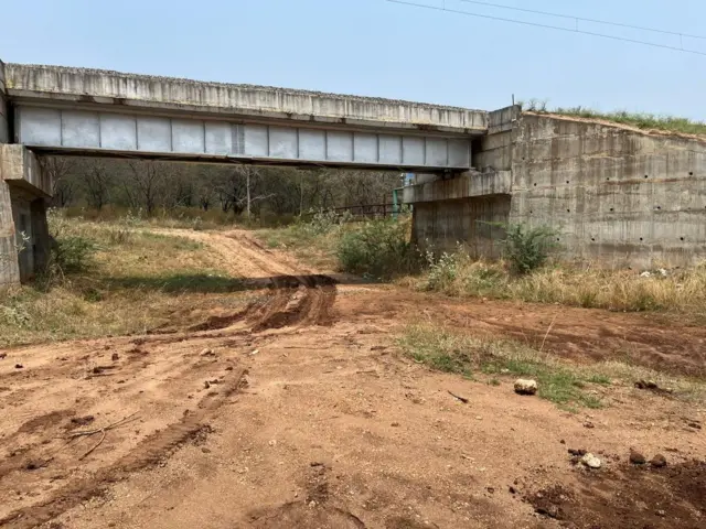 கோவை, யானைகள், வனத்துறை