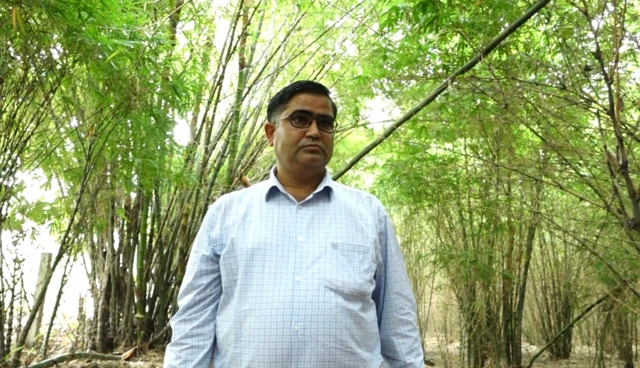 नागपुरातील या शास्त्रज्ञांनी विषारी राखेचे थर साचलेल्या जमिनींवर बांबूचं जंगलं कसं तयार केलं?