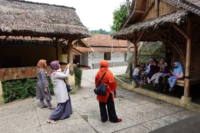 Flora Carita: Singkong