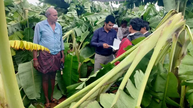 పంట నష్టం అంచనాల్లో యంత్రాంగం