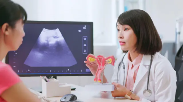 Closeup view of asian doctor use a uterine model to teach patient knowledge about gynecology