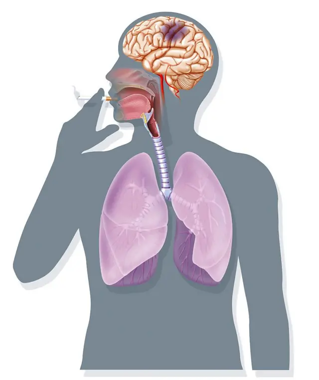 प्रातिनिधिक फोटो