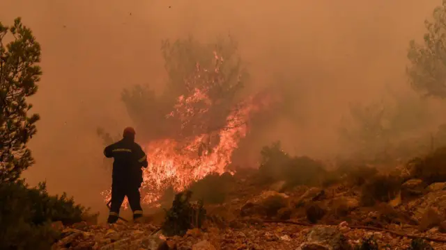 حرائق الغابات