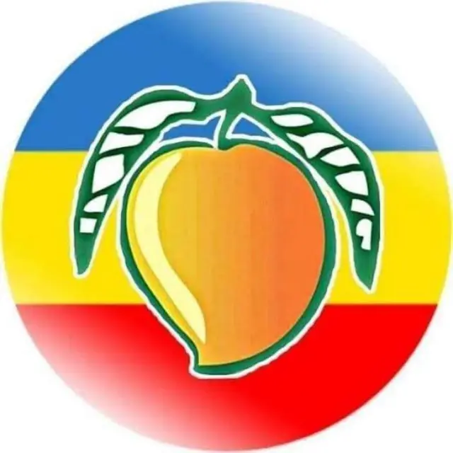 ராமதாஸ் Vs அன்புமணி, பாமக, திமுக, அரசியல், தமிழ்நாடு