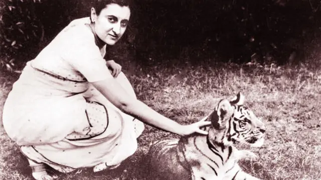 ইন্দিরা গান্ধীর ব্যক্তিগত আগ্রহ প্রোজেক্ট টাইগারকে প্রভূত সাহায্য করেছিল