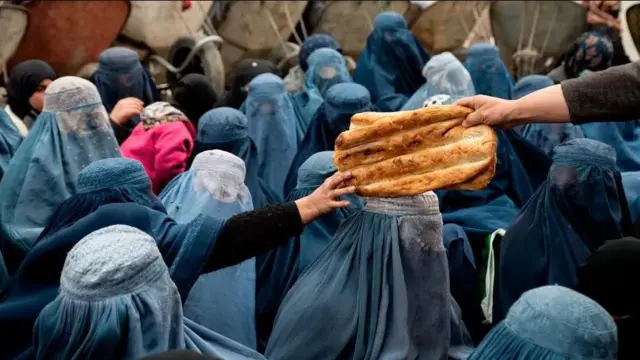 तालिबान