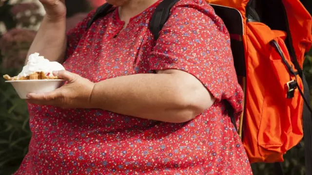 Resimde, aşırı kilolu görünen bir kadının beli ve kolları görülüyor; kadın elinde ketçap ve mayonez dökülmüş patates kızartması dolu bir kase tutuyor. 
