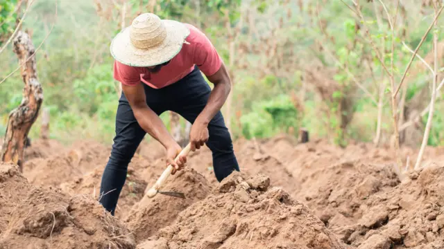 Pesin dey till di soil