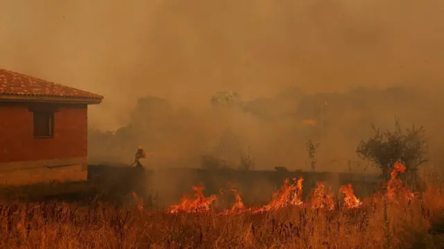 Пожарный поливает из брандспойта горящую растительность. На переднем плане языки огня. Всё в дыму 