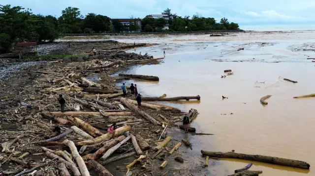 Sampah kayu gelondongan itu menumpuk di sepanjang pantai Padang pasca banjir bandang beberapa hari terakhir.