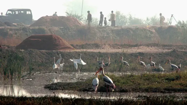 উত্তর প্রদেশের সাইফাইতে জলাভূমি বুজিয়ে বিমান অবতরণ ক্ষেত্র তৈরির কাজ চলছে