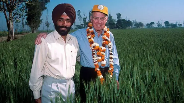 నార్మన్ బోర్లాగ్, హరిత విప్లవం