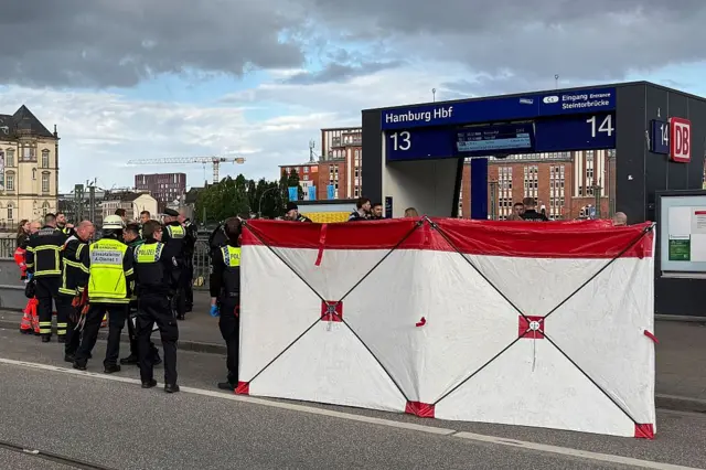 Сотрудники экстренных служб возле одной из платформ