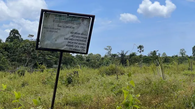 Plang besi Kawasan Konservasi SM Bakiriang seluas 12.309,8 hektare, yang dikelilingi pohon sawit muda.