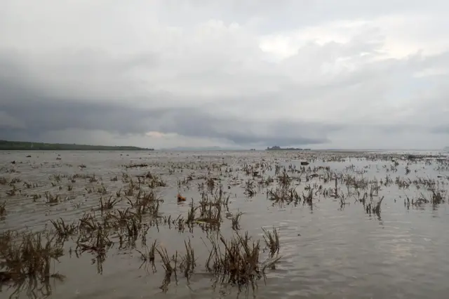 กรมทรัพยากรทางทะเลและชายฝั่ง