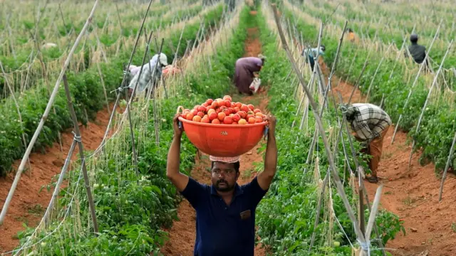 అనంతపురం, ఉమ్మడి కుటుంబం, హనుమంతరాయుడు, ముత్యాలప్ప, రాజేశ్వరి