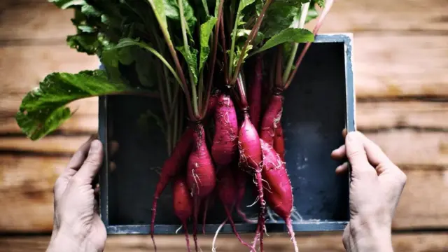 Буряк, нітрати