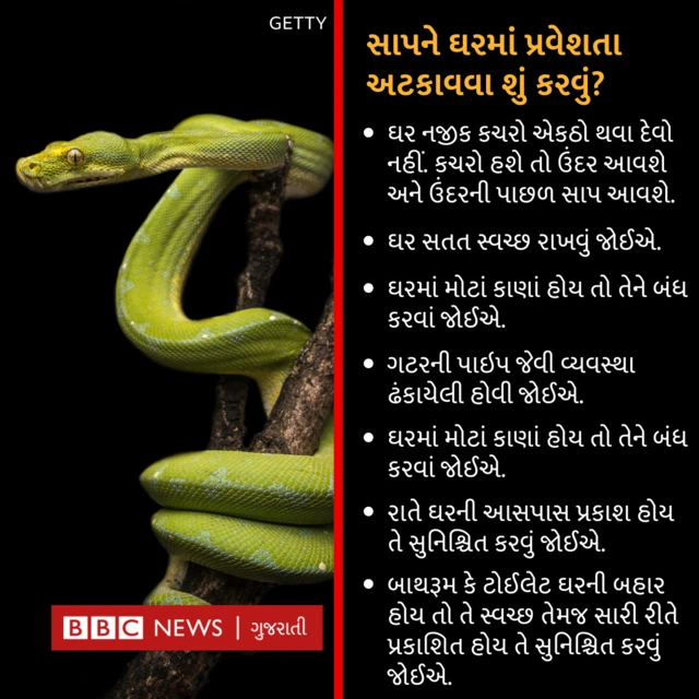 સાપથી બચવા શું કરવું