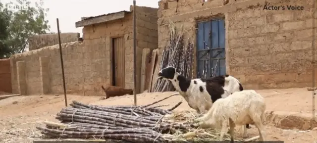 File foto of di town