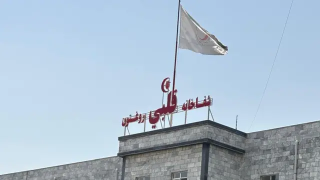 د روغتون وداني
