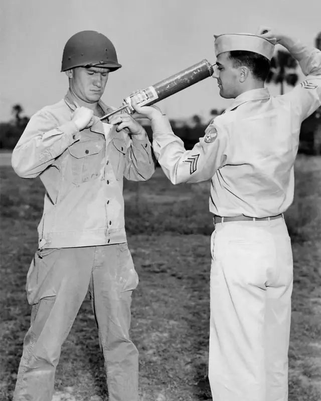 L'utilisation généralisée du DDT dans les années 1940 et 1950 a entraîné une réduction des maladies transmises par les moustiques, bien que la pulvérisation de DDT ait eu de nombreuses conséquences négatives